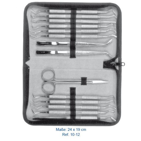 Кейс презентационный, 24х19 мм, HLW Dental Instruments (Германия)